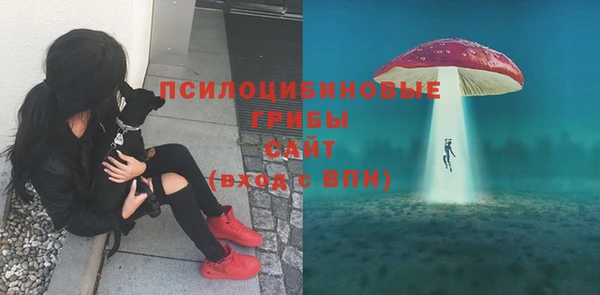 ешки Гусиноозёрск